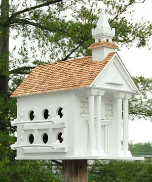 Town Hall For Purple Martins