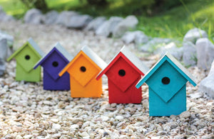 SUMMER HOME – NEON LITES ASSORTED COLORS PREPACK (5)
