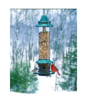 Squirrel Buster Plus