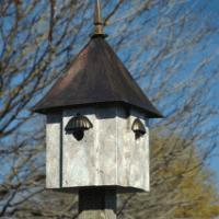 Decorative Bird Houses