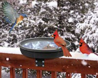 Heated Bird Baths