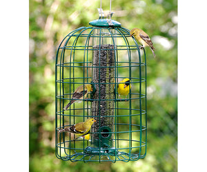 Caged Bird Feeders