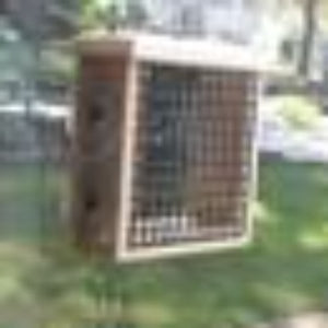 Coveside Window Suet Feeder