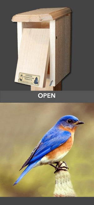 Coveside Sparrow Resistant Bluebird House  when open