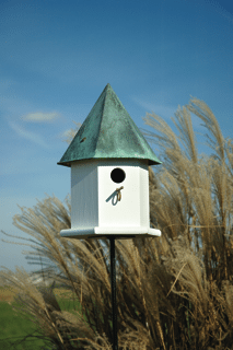 COPPER SONGBIRD DELUXE — WHITE/VERDIGRIS ROOF