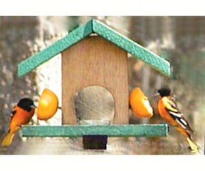 Oriole Feeder Cedar