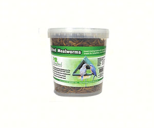 Songbird Essentials 7 oz Tub of Dried Mealworms 