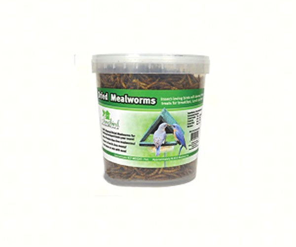 Songbird Essentials 28.22 oz Tub of Dried Mealworms