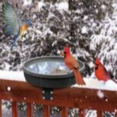 Songbird Spa Heated Deck Mount Bird Bath