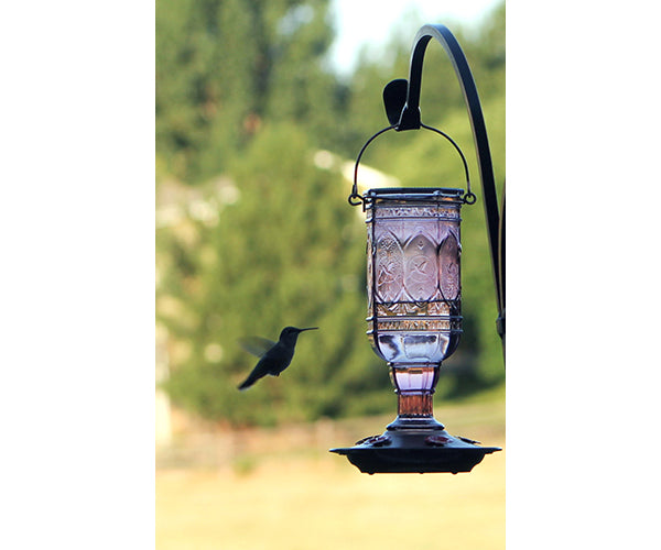 Jewel Amethyst Hummingbird Feeder- 4 Pack