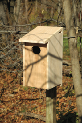 Heartwood Wood Duck Joy Box Duck House