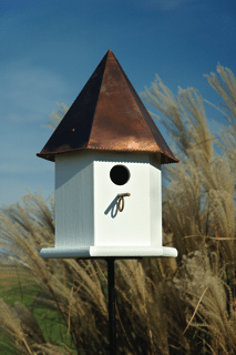 COPPER SONGBIRD DELUXE — WHITE/VERDIGRIS ROOF