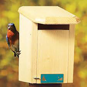 Coveside Sparrow Resistant Bluebird House / Bird Habitats
