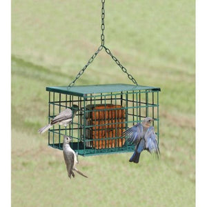 Songbird Essentials Squirrel Proof Suet Feeder