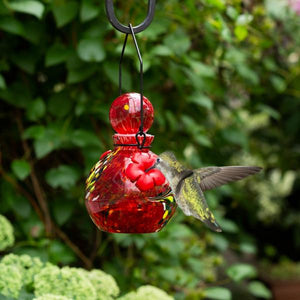 LunaLite Globe Hummingbird Feeder