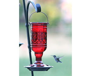 Jewel Red Hummingbird Feeder- 4 Pack