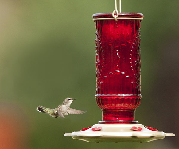 Red Vintage Hummingbird Feeder- 4 Pack