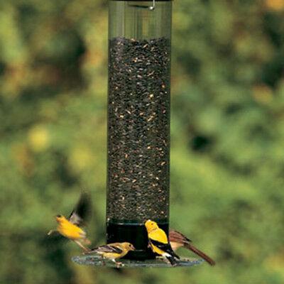 Droll Yankees Yankee Tipper Squirrel Resistant Tube Bird feeder