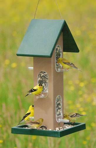 Tube Feeder with seed Tray