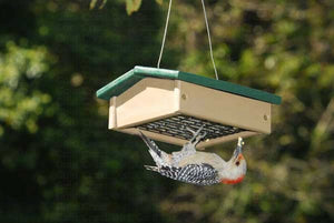 Small Upside Down Suet Feeder Hunter Driftwood